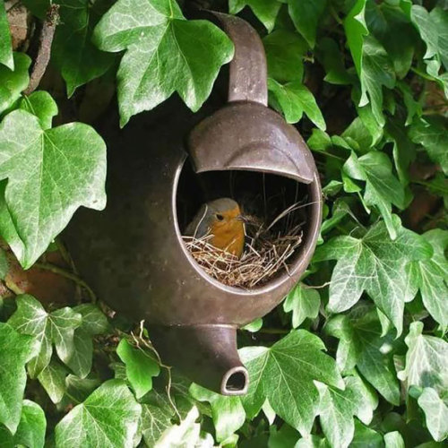 boredpanda:Unusual Bird Nests Built In The Weirdest PlacesWhat are birds? We just don’t know, but th