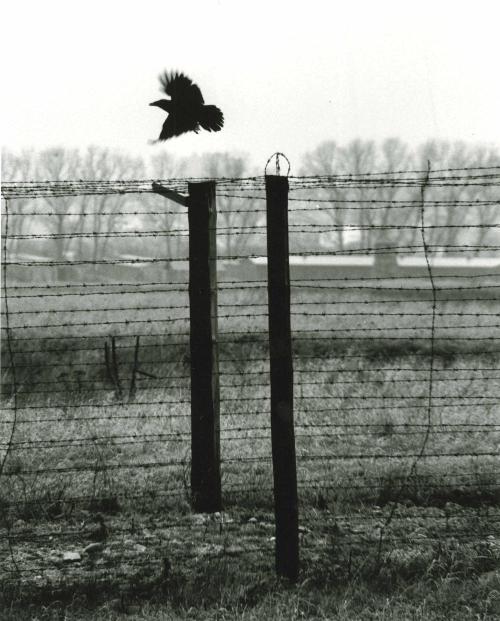 Erich Hartmann (German-American, 1922-1999, b. Munich, Germany) - Lubin, Poland, 1994, The barbed wi