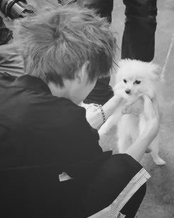 kyunqil