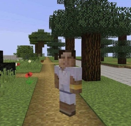 just-another-minecraft-blog: 