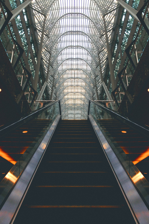 houseofdawn: Brookfields.2.