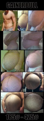 gainerbull:Evolution of a greedy belly. 