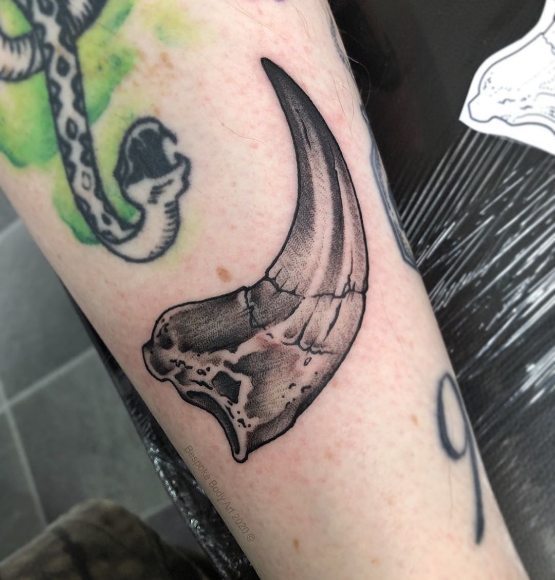 Throwback to a Raptor Claw I did a while back Id like to do more of these  or similar ideas ma  than  Movie tattoos Tattoo designs  Tattoos