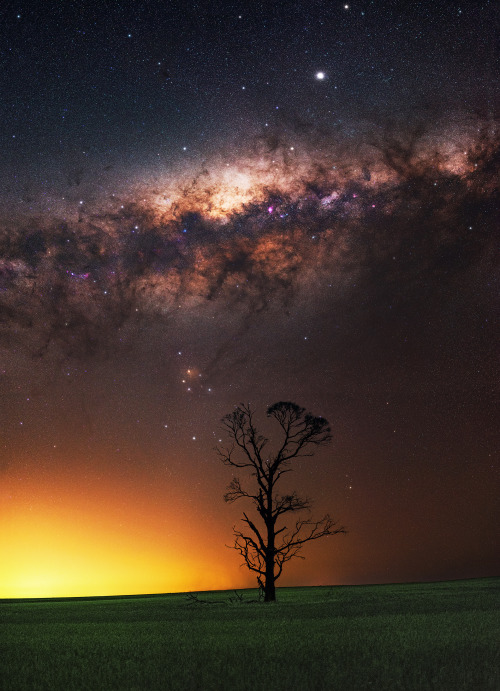 inefekt:  Milky Way at Dowerin, Western AustraliaNikon d5500 - 35mm - ISO 4000 - f/2.5 - Foreground: 3 x 20 seconds - Sky: 9 x 30 seconds - iOptron SkyTracker