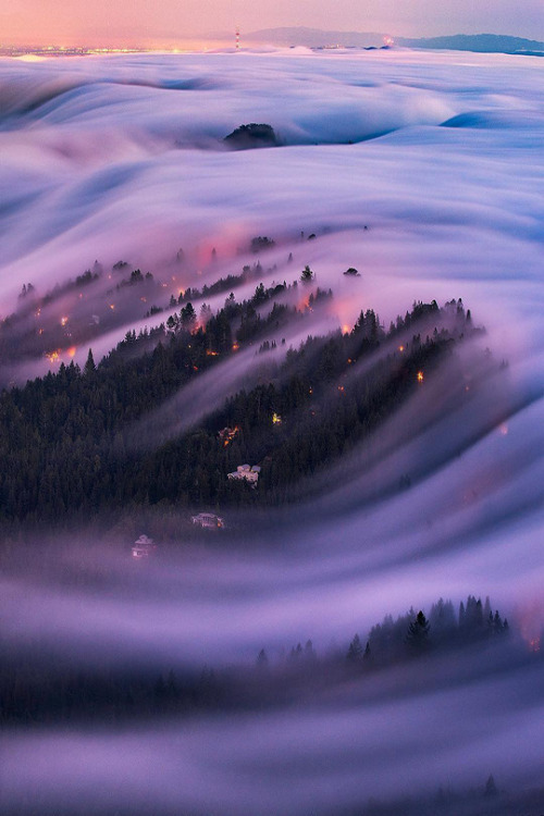 lewerta:twilight flow by Nicholas Steinberg