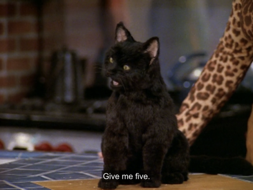 Sabrina, the Teenage Witch (1997)