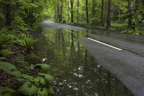 90377: Green reflection by xx_chaton_xx on Flickr.