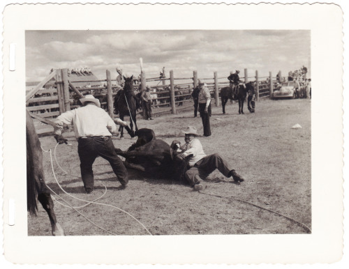 Photos by Larry Cornwell of Glasgow, Montana