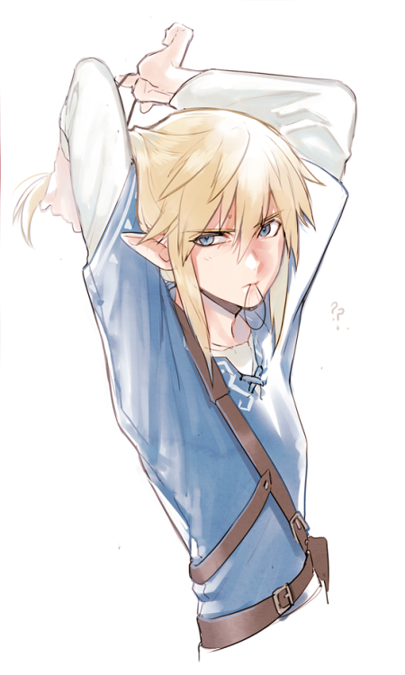 pictolita:Link with ponytail from E3 is exciting..!