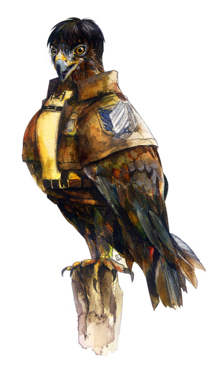 iamleviheichou:foraz-zora: Shingeki no Kyojin characters as birds Artist: くろ My friend and I found t