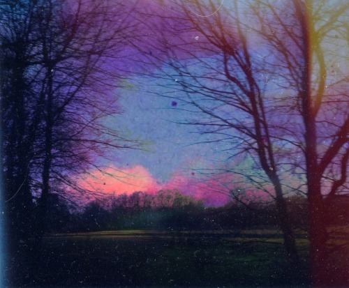oceanvixen:{ ✮ }