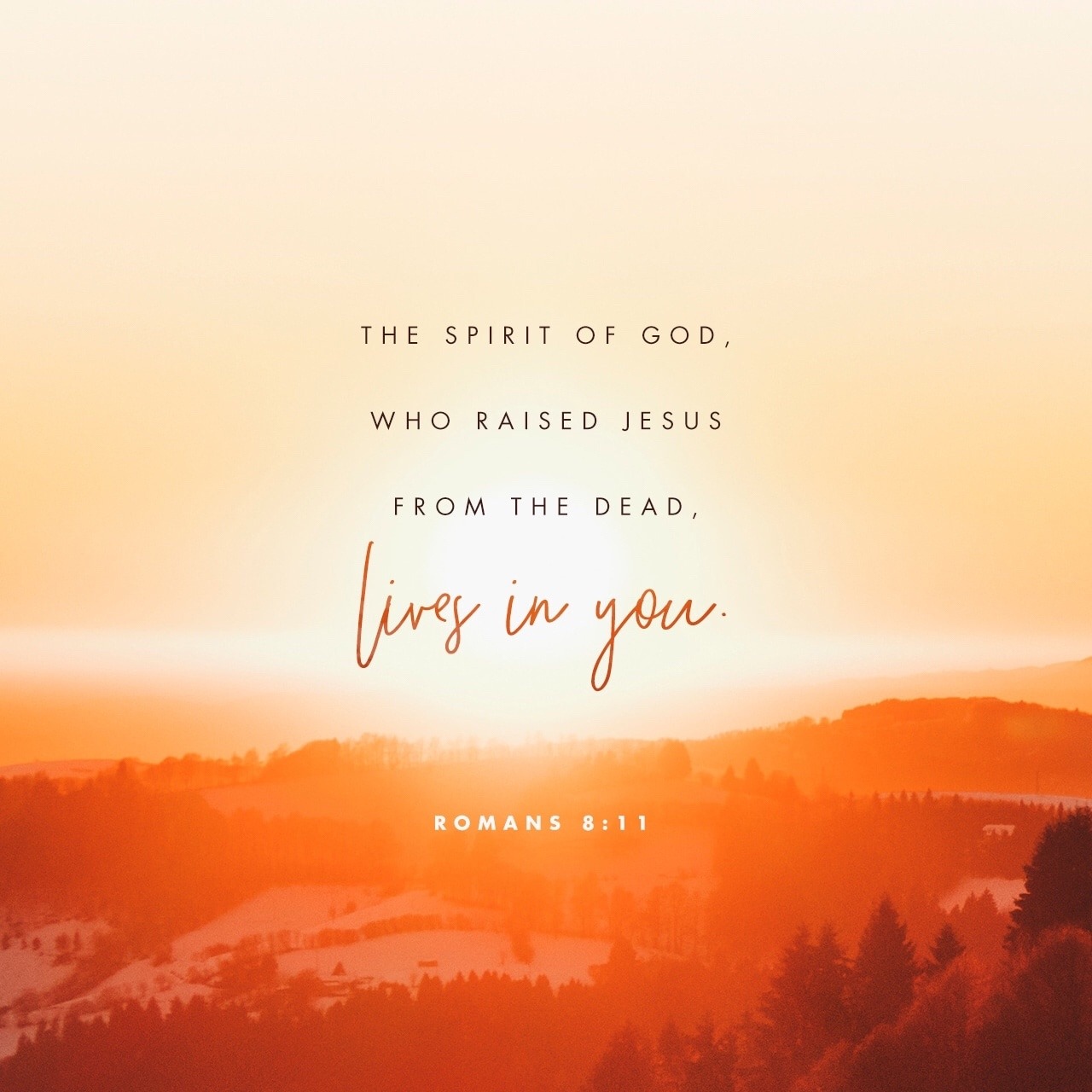 asoul-onfire: “But if the Spirit of him that raised up Jesus from the dead dwell