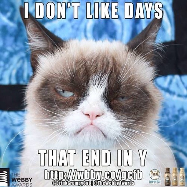 TGIF! NOT!  Enter to win a year of FREE #Grumppuccino from @DrinkGrumpyCat and @TheWebbyAwards https://wbby.co/gcfb