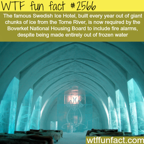 wtf-fun-factss:Ice Hotel in Sweden have to put fire alarms - WTF fun facts
