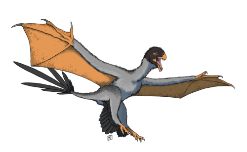 fablepaint:palaeoverse:This week, two exciting new species of theropod dinosaur have been announced.