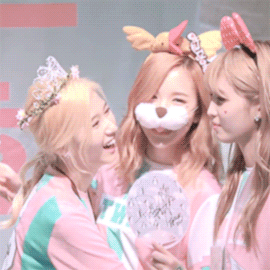 shonseungwan:  kitten mina