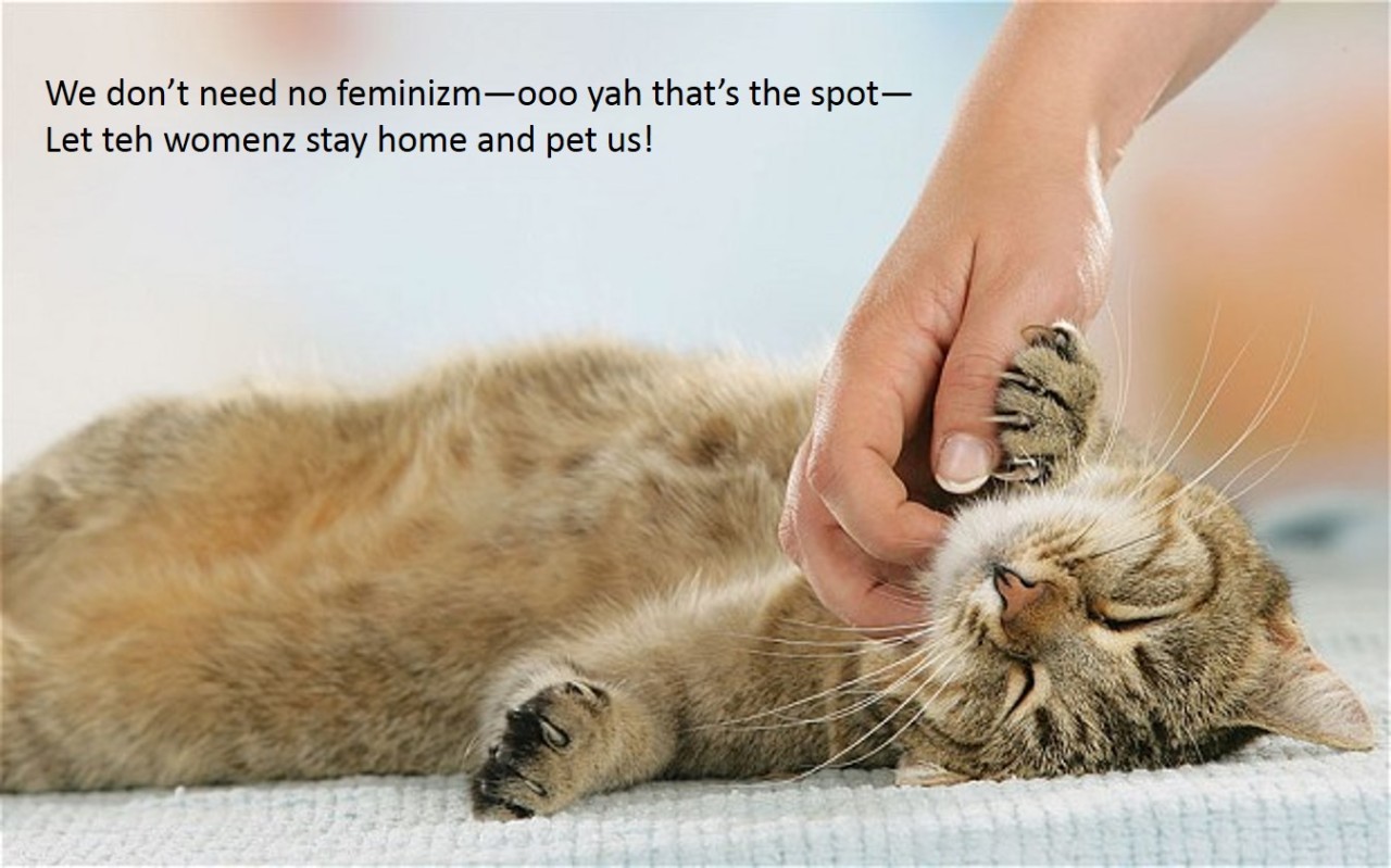 Teh womenz no need teh rightz.
-
Confused Cats Against Feminism is a project of We Hunted the Mammoth:The New Misogyny, tracked and mocked.