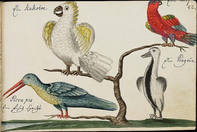 design-is-fine:  The Batavia Journal, 1669 - 1682. These illustrations come from