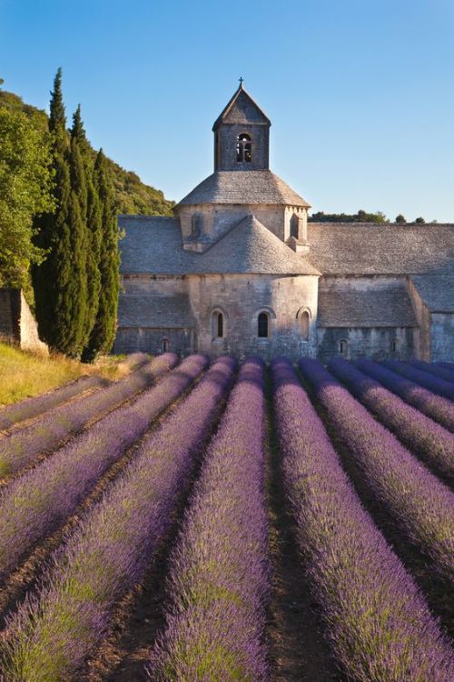 shorenaratiani:Senanque Abbey, Vaucluse, Gordes, Provence, France - Romanesque architecture.Photo by