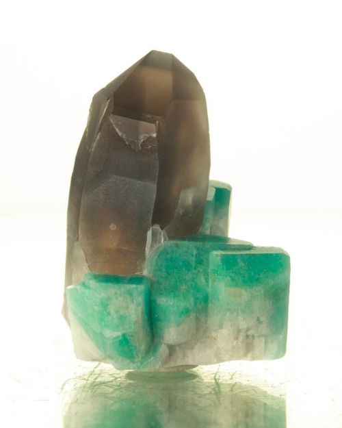 Smoky Quartz and Amazonite - Smoky Hawk Claim, Colorado, USA