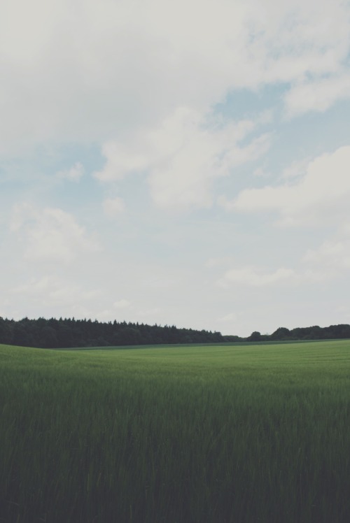 south-england:  Perfect Crop »» Thomas Hanks 
