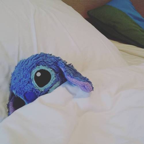 #stitch #travels #hungover #sleepingin #comfy #bed #limehotel #boracay #disneyandchill #philippines 