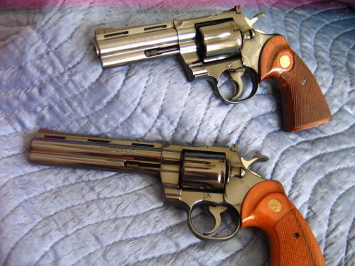 Bag full of guns