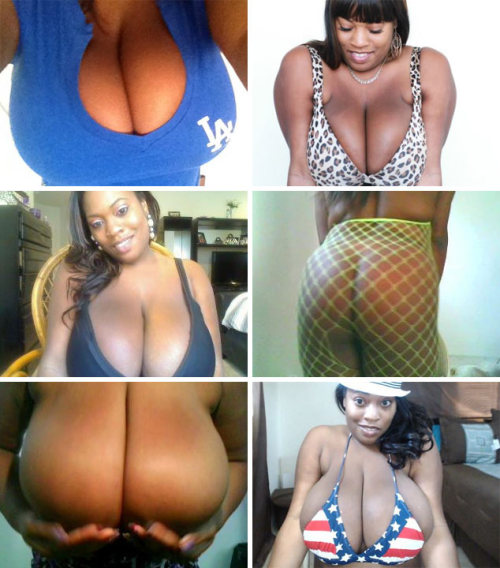hollyhimalayas: Lost Files