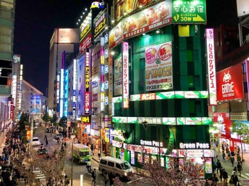 Shinjuku Night Time - Tokyo Japan #shinjuku #tokyo #japan #japan #nightlife #nighttime #dark #light 