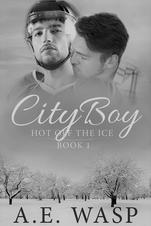 City Boy by AE WaspI read it on KU and then went and bought it.  Loved the main characters. Bryce wa