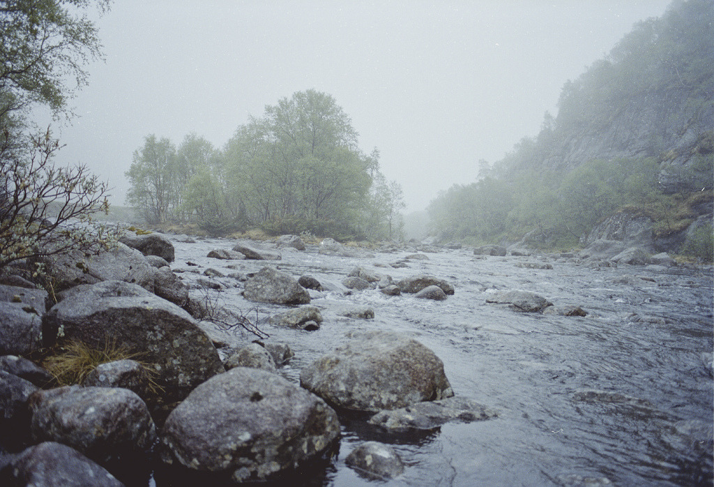 jacindaelena:   Frederik Floor 