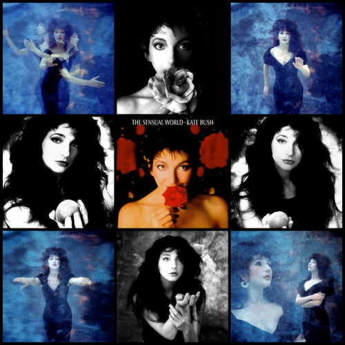 Kate Bush Album/Era Art: 1978-2011.