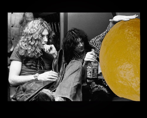 rock6880: ☺️ Led Zeppelin Lemon Life