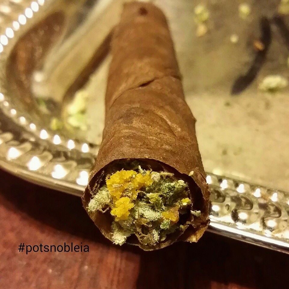 thebudtendersociety:  Strawberry Cough with Plush Berry Crumble sent in by our BUDdy