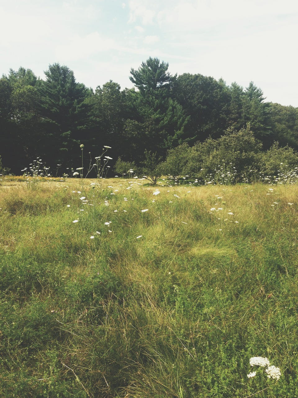 mildew:  well this is my cottage in maine and we don’t have running water and as