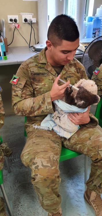 catsbeaversandducks:  “16 Regiment Emergency Support Force have been using their rest periods to lend a helping hand at the Cleland Wildlife Park , supporting our furry friends during feeding time and by building climbing mounts inside the park. A great