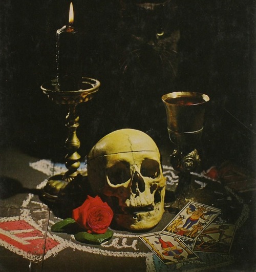 Front cover of Witchcraft: The Story of Man’s Search for Supernatural Power (1973) 