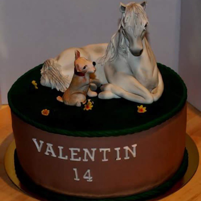 Machus sweetmeats — #Tarta#cake#fondant#caballo#perro#horse#dog#amistad...