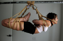 theropegeek: rope and photo by me; model: