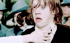 harrypottergif:  Harry Potter meme  [10] Characters - Ronald Weasley  