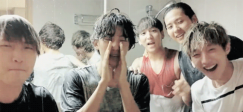 chaootic:  wet puppies 