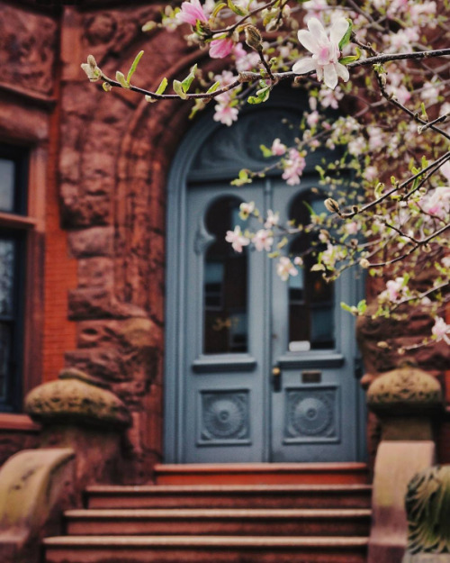 girlinthepark: brianmcw | Back Bay, Boston. 