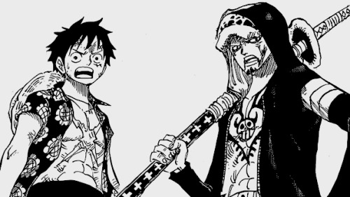 : LawLu Law and Luffy throughout the years