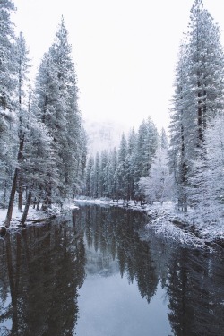 alecsgrg:  A still and snowy morning along the Merced River | ( by Alexandra Taylor )    heart eyes