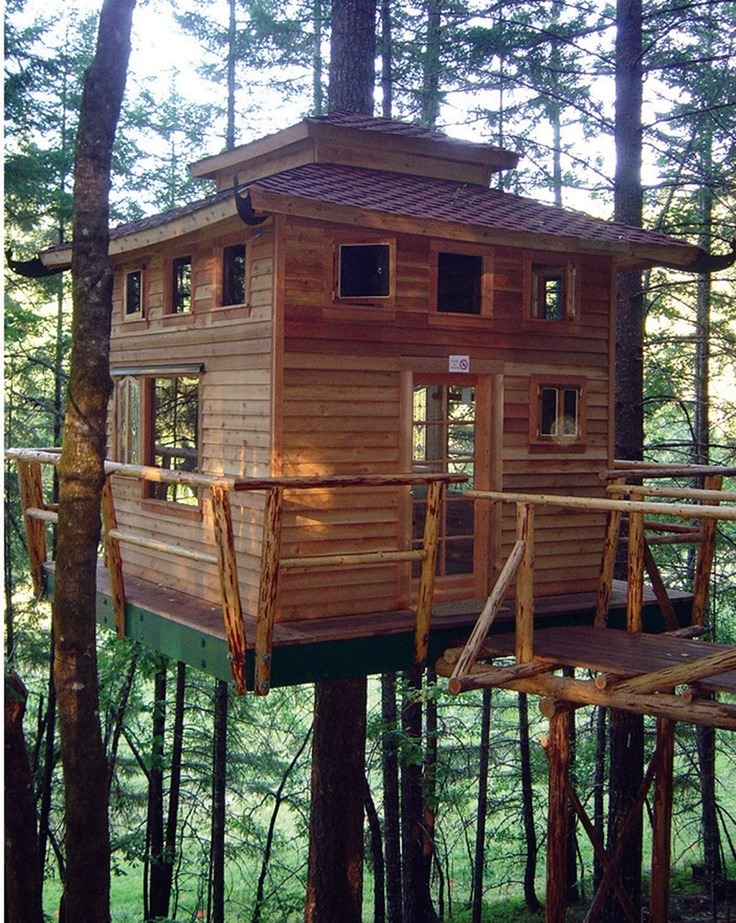 bonitavista: Cave Junction, Oregon photo via la  I need a tree house&hellip;