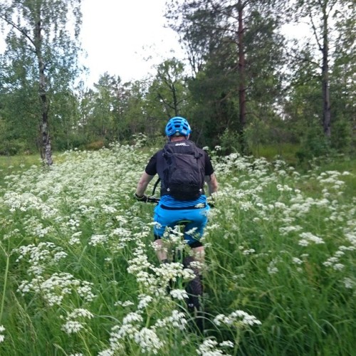 333psi: Hardcore #enduropreparations #Hundekjeksroulette #trails #loves_bikes #bike #bikesareawesome