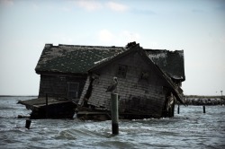 dichotomized:  Formerly the most populated island the Chesapeake Bay, Holland Island is now abandoned and rapidly eroding away. Before that though, the island was home to about 360 residents.  Suddenly in 1914 the wind and tide began to erode the western