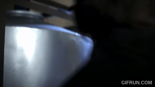 f63bdbcf417e7e9886b8568aae830ea4ba3994a6.gifv