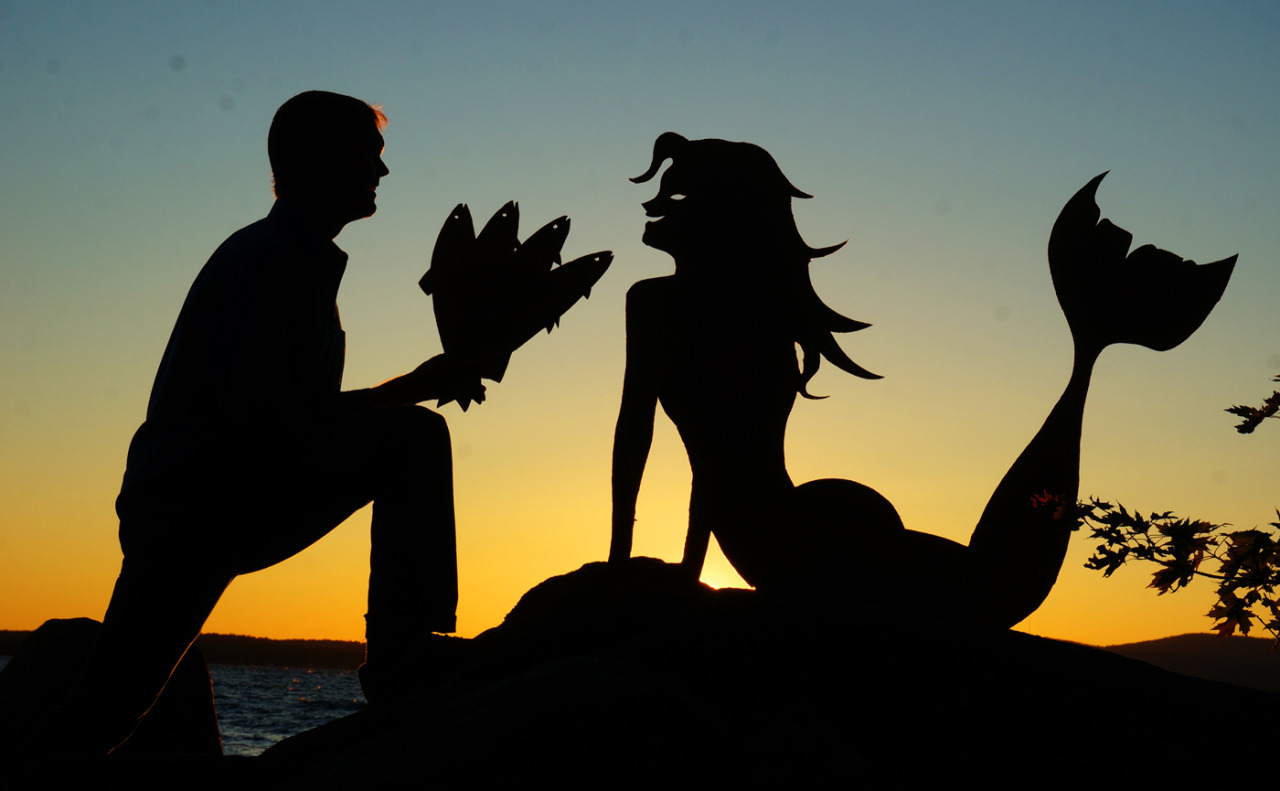tastefullyoffensive:  Sunset Selfies by John Marshall  “This collection started