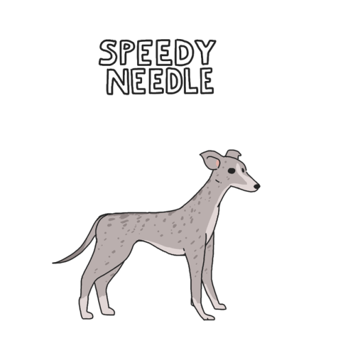 gudguymaybe:  Here’s an easy guide to remember some dog names. 